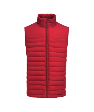 Bodywarmer Heren James Harvest